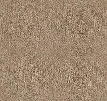 Ковролин Tarkett Dragon Dragon 10431 фото 1 | FLOORDEALER