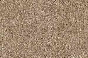 Ковролин Tarkett Dragon Dragon 10431 фото  | FLOORDEALER