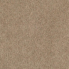 Ковролин Tarkett Dragon Dragon 10431 фото 1 | FLOORDEALER