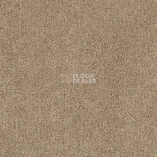 Ковролин Tarkett Dragon Dragon 10431 фото 1 | FLOORDEALER