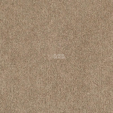 Tarkett Dragon Dragon 10431 фото 1 | FLOORDEALER