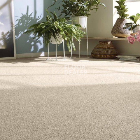 Vorwerk Essential 1008 Vorwerk 8j21 фото 2 | FLOORDEALER