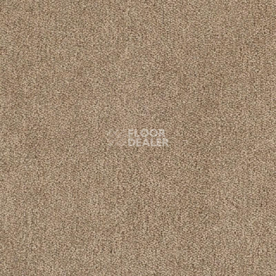 Ковролин Tarkett Dragon Dragon 10431 фото 1 | FLOORDEALER