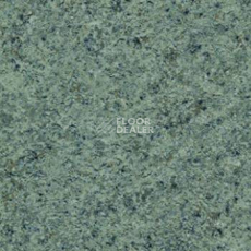 Линолеум Lg Supreme SPR9109-04 фото 1 | FLOORDEALER