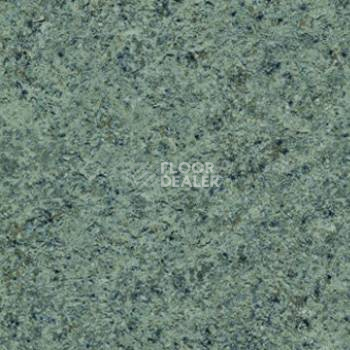 Линолеум Lg Supreme SPR9109-04 фото 1 | FLOORDEALER