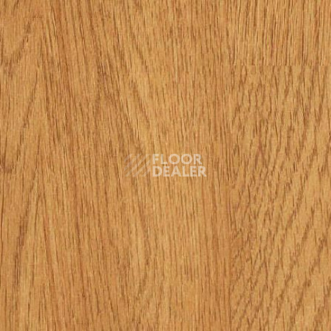 Линолеум Gerflor Taraflex evolution Wood 6375_Oak_design фото 1 | FLOORDEALER