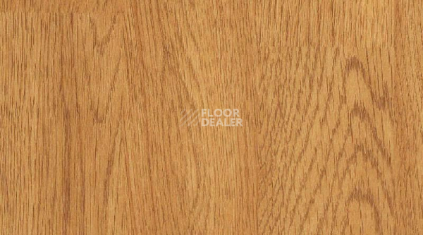 Линолеум Taraflex evolution Wood 6375_Oak_design фото 1 | FLOORDEALER