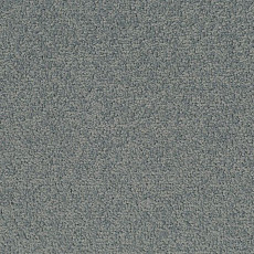 Desso Palatino 5502 фото 1 | FLOORDEALER