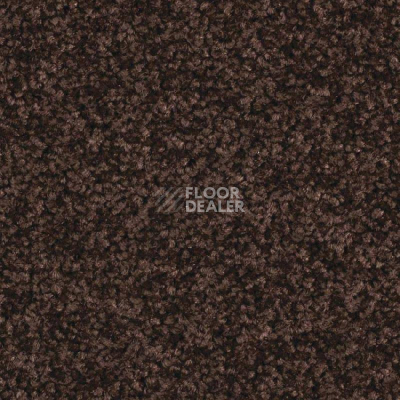 Ковровая плитка Balsan Serenite 791 фото 1 | FLOORDEALER