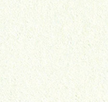 Ковролин Girloon Standard 600 фото 1 | FLOORDEALER