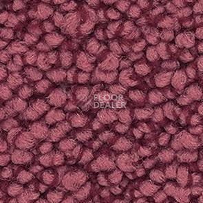 Ковролин Balsan Metis Metis 565 фото 1 | FLOORDEALER