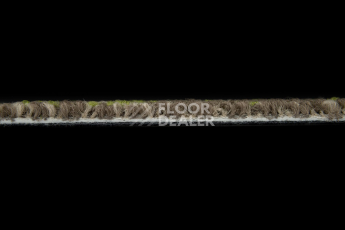 Neuflor Rocky 300305 + New Leaf фото 3 | FLOORDEALER
