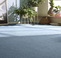 Vorwerk Essential 1008 Vorwerk 3n901 фото 2 | FLOORDEALER