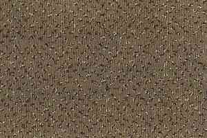 Ковролин Betap Pluto 193 фото  | FLOORDEALER