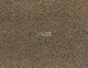 Ковролин Betap Pluto 193 фото 1 | FLOORDEALER