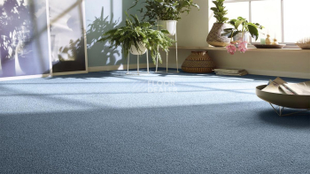 Vorwerk Essential 1008 Vorwerk 3n901 фото 2 | FLOORDEALER