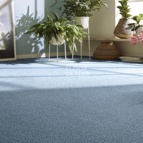 Vorwerk Essential 1008 Vorwerk 3n901 фото 2 | FLOORDEALER