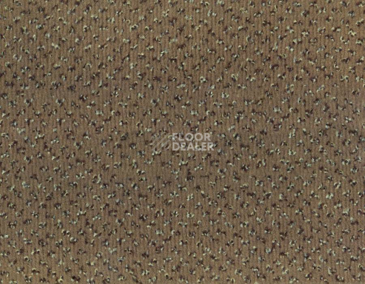 Ковролин Betap Pluto 193 фото 1 | FLOORDEALER