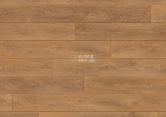 Terhurne Classic Line 192мм 1381  Дуб Коричневый  1101020827 фото 3 | FLOORDEALER