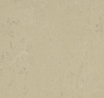 Линолеум Forbo Marmoleum Decibel on Order 376135 Titan фото 1 | FLOORDEALER