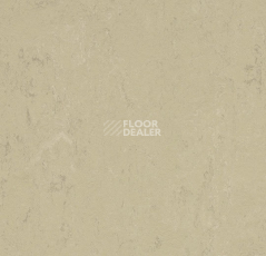 Линолеум Forbo Marmoleum Decibel on Order 376135 Titan фото 1 | FLOORDEALER