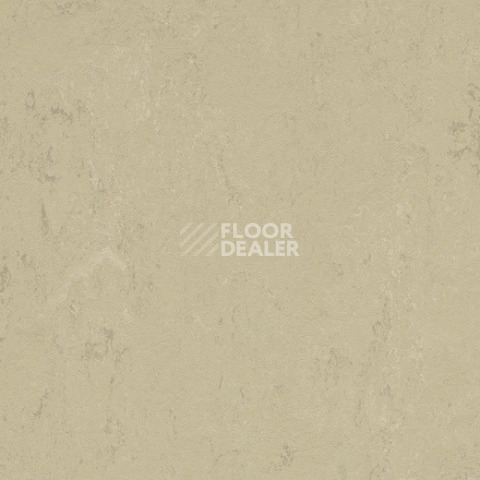 Линолеум Forbo Marmoleum Decibel on Order 376135 Titan фото 1 | FLOORDEALER