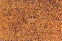 Flotex Colour Calgary 50*50 t 590005 Calgary Melon фото 3 | FLOORDEALER