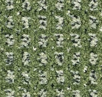 Ковролин Balsan Littoral Littoral 240 фото 1 | FLOORDEALER