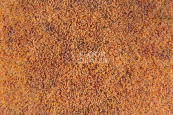 Forbo Flotex Colour Calgary 50*50 t 590005 Calgary Melon фото 3 | FLOORDEALER