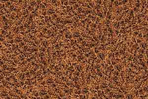 Ковровая плитка Desso Twist 5401 фото  | FLOORDEALER