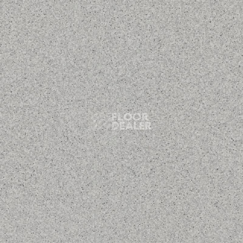 Линолеум Tarkett Primo Plus M Primo 315 фото 1 | FLOORDEALER