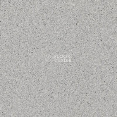 Линолеум Tarkett Primo Plus M Primo 315 фото 1 | FLOORDEALER
