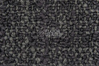 Neuflor City 2009-13 фото 2 | FLOORDEALER