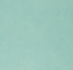 Линолеум Forbo Emerald Standart 72408 фото 1 | FLOORDEALER