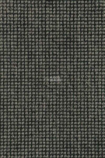 Ковролин Creatuft Estrella 34 Pampa фото 1 | FLOORDEALER