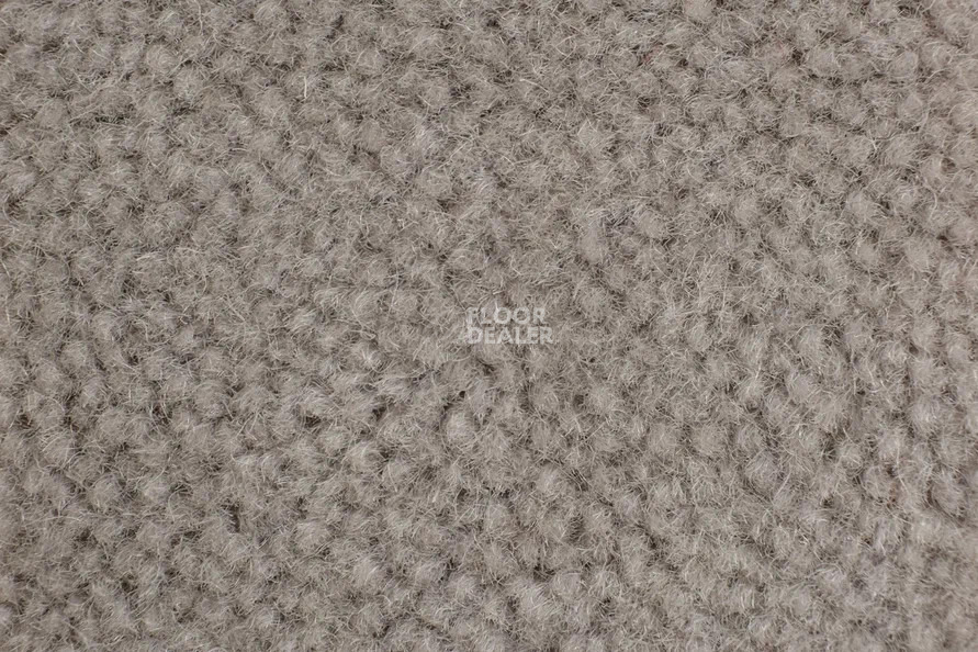Balsan Majestic 725 фото 2 | FLOORDEALER
