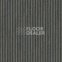 Ковровая плитка Cameo Cameo 775 фото 1 | FLOORDEALER