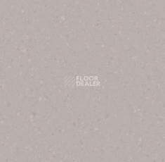 Линолеум Tarkett iq Melodia 2651 фото 1 | FLOORDEALER