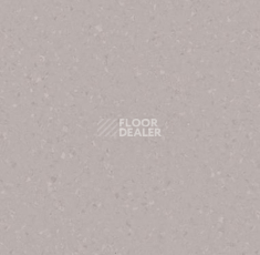 Линолеум Tarkett iq Melodia 2651 фото 1 | FLOORDEALER