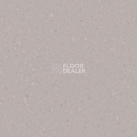 Линолеум Tarkett iq Melodia 2651 фото 1 | FLOORDEALER