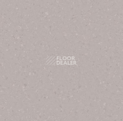Линолеум Tarkett iq Melodia 2651 фото 1 | FLOORDEALER