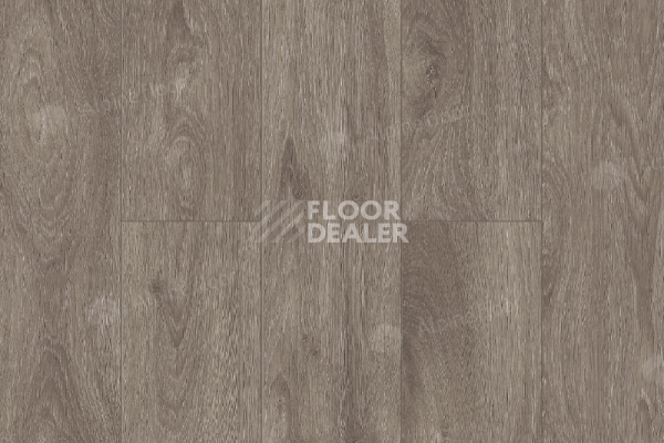 Ламинат Alpine Floor Albero 10мм A1015 ДУБ CМОУК фото 1 | FLOORDEALER