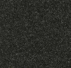 Ковролин Forbo Forte 96019 Jet фото 1 | FLOORDEALER