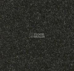 Ковролин Forbo Forte 96019 Jet фото 1 | FLOORDEALER