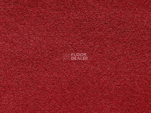 Ковролин Balta Wild Luxury Paddington Balta Wild Luxury Paddington 16 фото 1 | FLOORDEALER