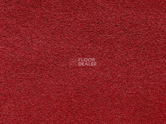 Ковролин Balta Wild Luxury Paddington 16 фото 1 | FLOORDEALER