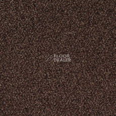 Ковролин Desso Torso-Brlm 2053 фото 1 | FLOORDEALER