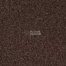 Ковролин Desso Torso-Brlm 2053 фото 1 | FLOORDEALER