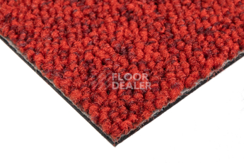 Balsan Season - Summer / Winter 570 фото 4 | FLOORDEALER