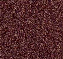 Ковролин AW Timeless 11 фото 1 | FLOORDEALER